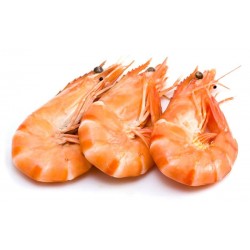 Crevettes roses cuites (500g)